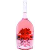 DFR Arrogance Rose Demisec Magnum 1.5L