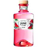 G Vine June Watermelon 0.7L